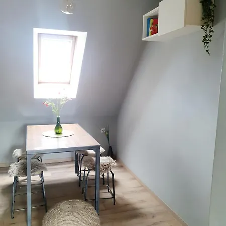 Apartment Zwethau *