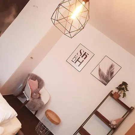 Zwethau Apartment *